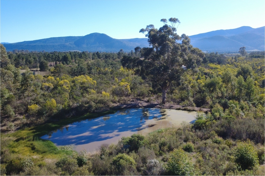 0 Bedroom Property for Sale in The Crags Western Cape